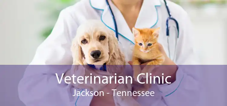 Veterinarian Clinic Jackson - Tennessee