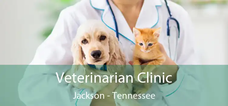 Veterinarian Clinic Jackson - Tennessee