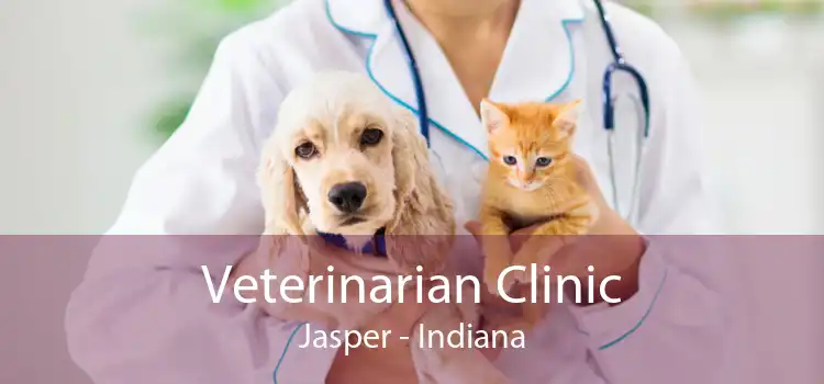 Veterinarian Clinic Jasper - Indiana