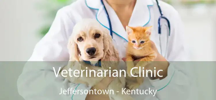 Veterinarian Clinic Jeffersontown - Kentucky