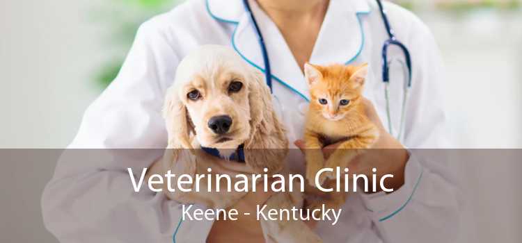 Veterinarian Clinic Keene - Kentucky