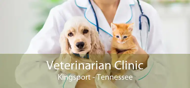 Veterinarian Clinic Kingsport - Tennessee