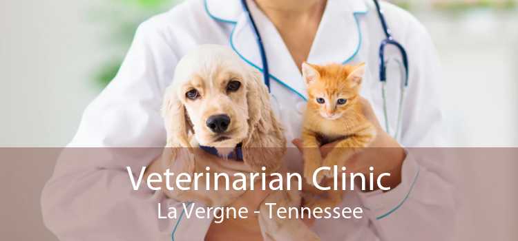 Veterinarian Clinic La Vergne - Tennessee