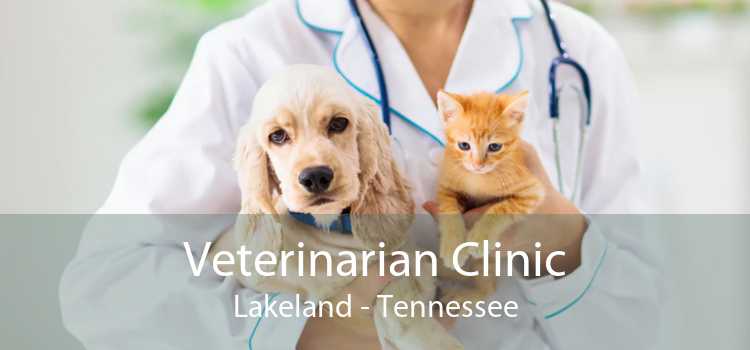 Veterinarian Clinic Lakeland - Tennessee