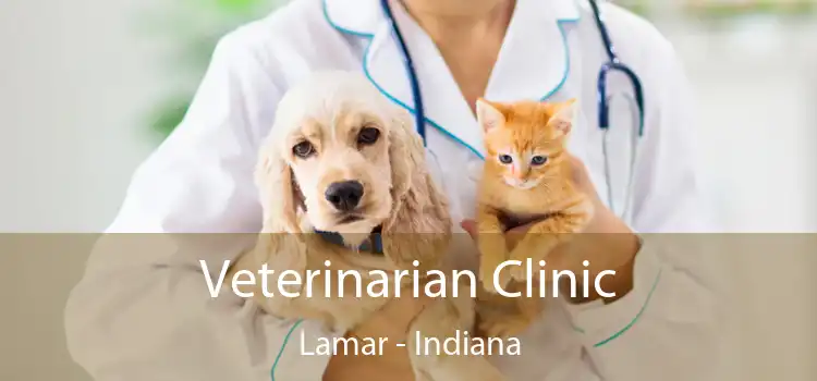 Veterinarian Clinic Lamar - Indiana