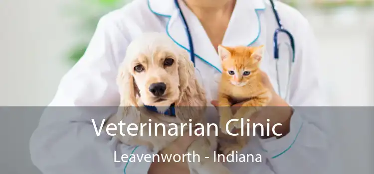 Veterinarian Clinic Leavenworth - Indiana