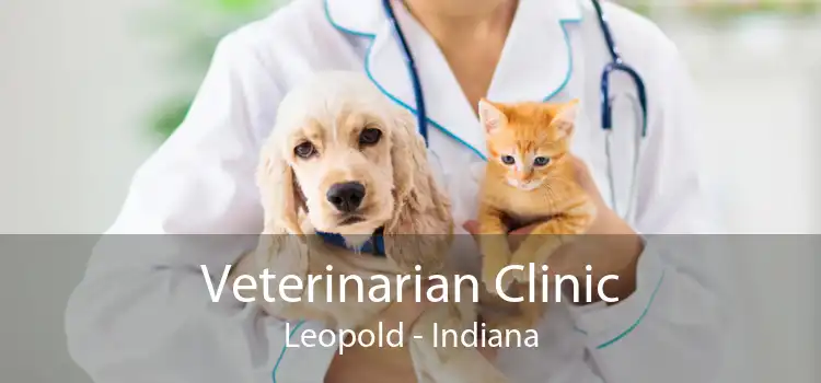 Veterinarian Clinic Leopold - Indiana