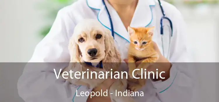 Veterinarian Clinic Leopold - Indiana