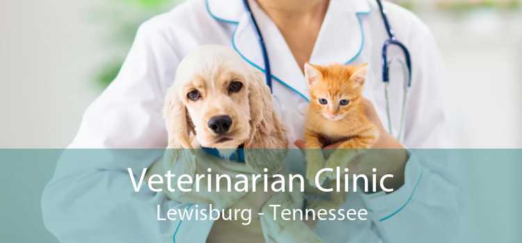 Veterinarian Clinic Lewisburg - Tennessee