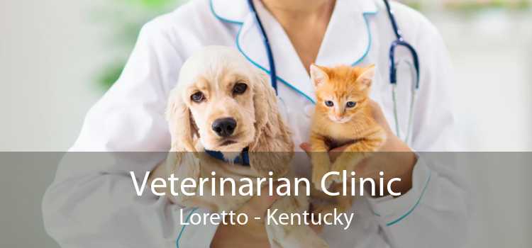 Veterinarian Clinic Loretto - Kentucky