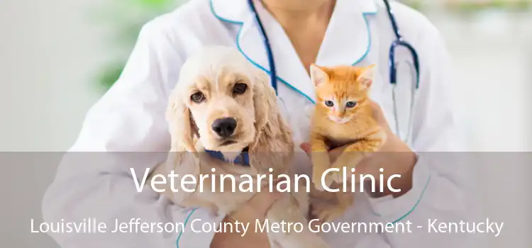 Veterinarian Clinic Louisville Jefferson County Metro Government - Kentucky