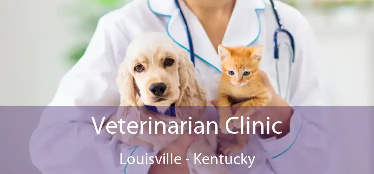 Veterinarian Clinic Louisville - Kentucky