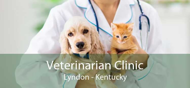Veterinarian Clinic Lyndon - Kentucky