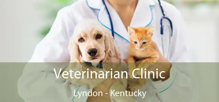 Veterinarian Clinic Lyndon - Kentucky