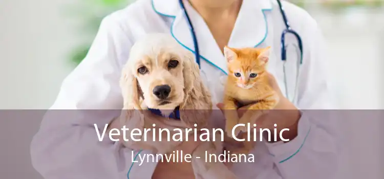 Veterinarian Clinic Lynnville - Indiana