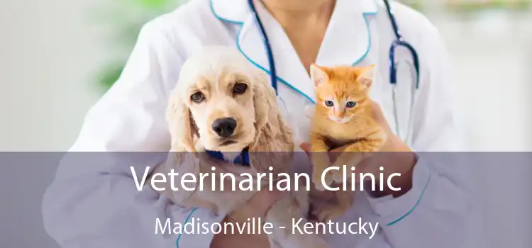 Veterinarian Clinic Madisonville - Kentucky