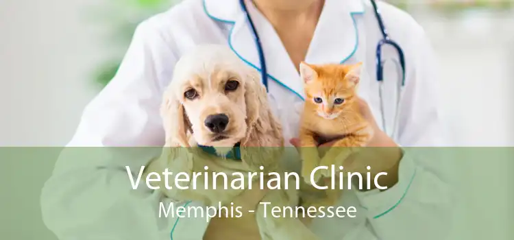 Veterinarian Clinic Memphis - Tennessee