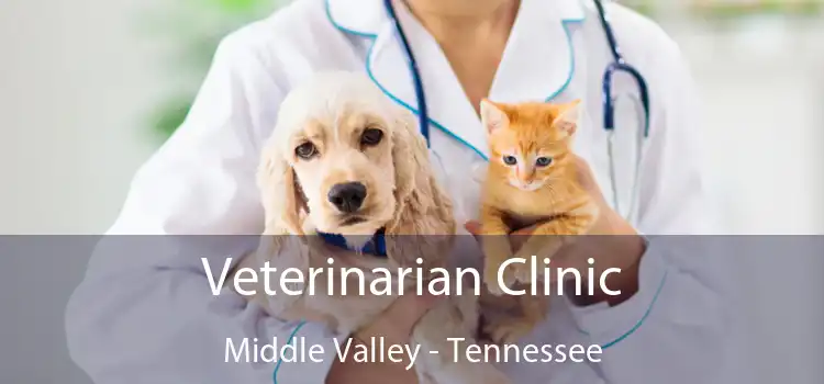 Veterinarian Clinic Middle Valley - Tennessee