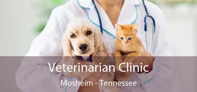 Veterinarian Clinic Mosheim - Tennessee