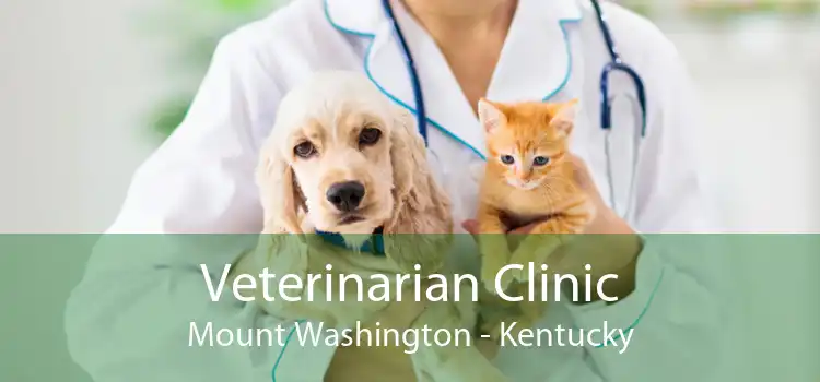 Veterinarian Clinic Mount Washington - Kentucky