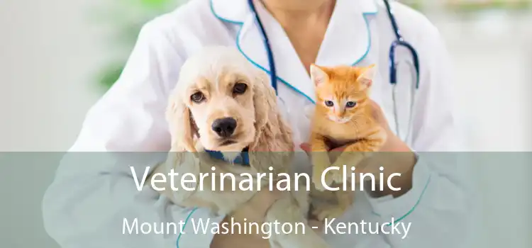 Veterinarian Clinic Mount Washington - Kentucky