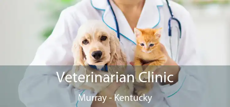 Veterinarian Clinic Murray - Kentucky