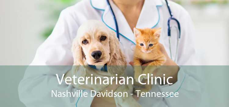 Veterinarian Clinic Nashville Davidson - Tennessee
