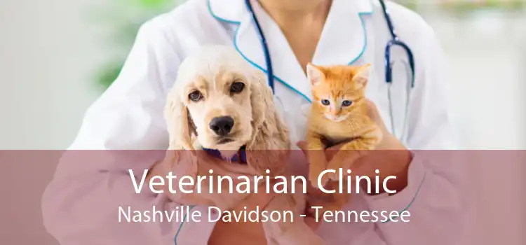 Veterinarian Clinic Nashville Davidson - Tennessee