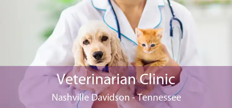 Veterinarian Clinic Nashville Davidson - Tennessee
