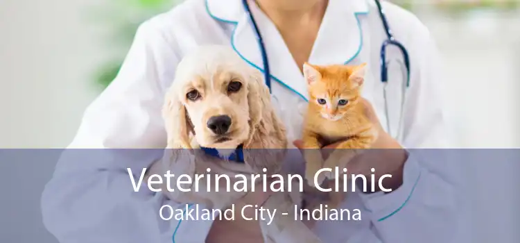 Veterinarian Clinic Oakland City - Indiana