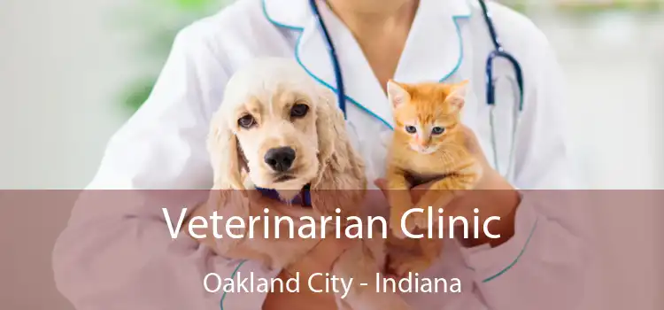 Veterinarian Clinic Oakland City - Indiana