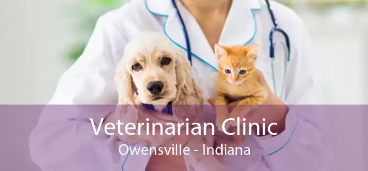 Veterinarian Clinic Owensville - Indiana