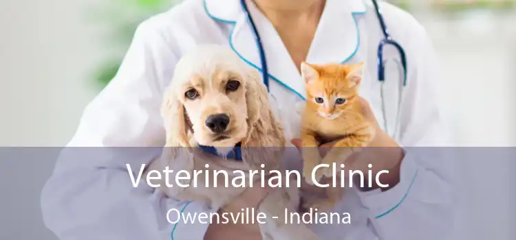 Veterinarian Clinic Owensville - Indiana