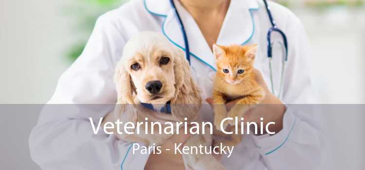 Veterinarian Clinic Paris - Kentucky