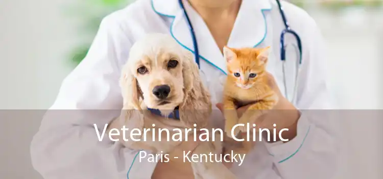 Veterinarian Clinic Paris - Kentucky