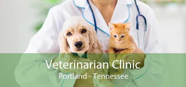 Veterinarian Clinic Portland - Tennessee