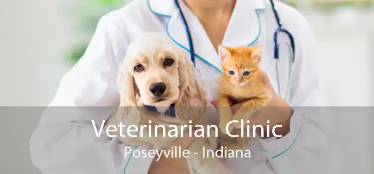 Veterinarian Clinic Poseyville - Indiana