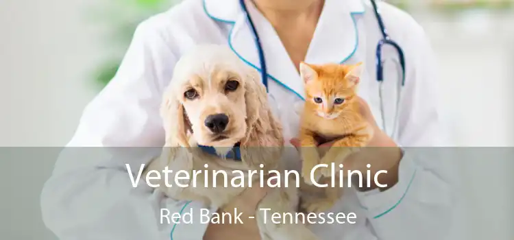 Veterinarian Clinic Red Bank - Tennessee