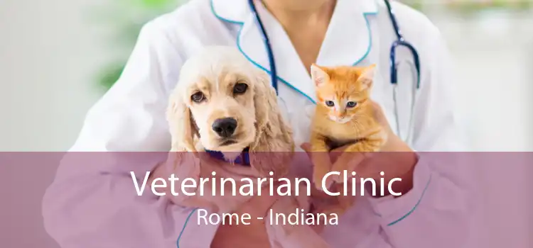 Veterinarian Clinic Rome - Indiana