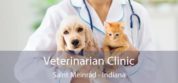 Veterinarian Clinic Saint Meinrad - Indiana