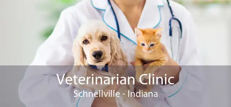 Veterinarian Clinic Schnellville - Indiana