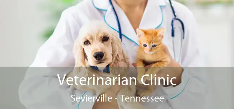 Veterinarian Clinic Sevierville - Tennessee