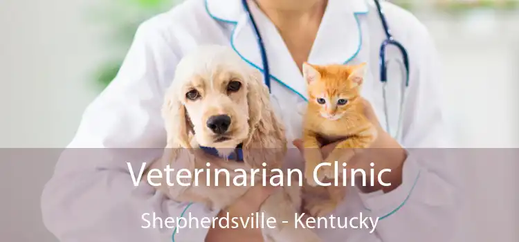 Veterinarian Clinic Shepherdsville - Kentucky