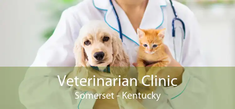 Veterinarian Clinic Somerset - Kentucky