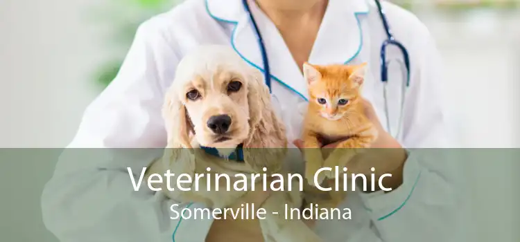 Veterinarian Clinic Somerville - Indiana