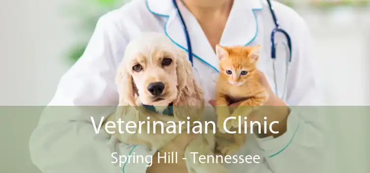 Veterinarian Clinic Spring Hill - Tennessee