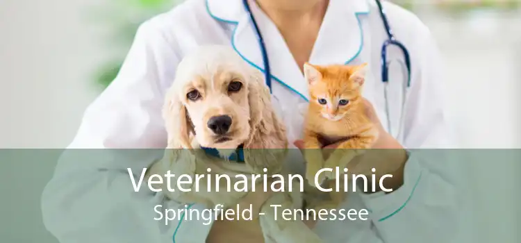 Veterinarian Clinic Springfield - Tennessee