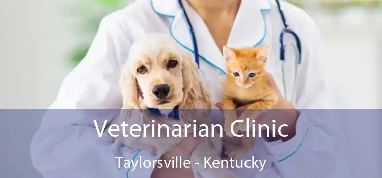 Veterinarian Clinic Taylorsville - Kentucky