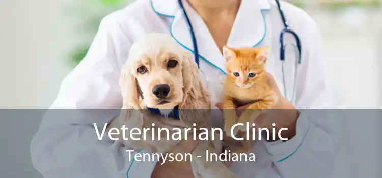 Veterinarian Clinic Tennyson - Indiana