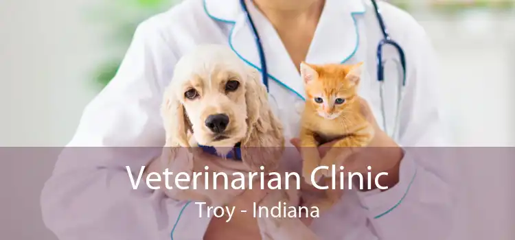 Veterinarian Clinic Troy - Indiana